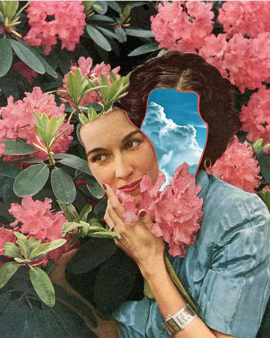 Aesthetic vibes